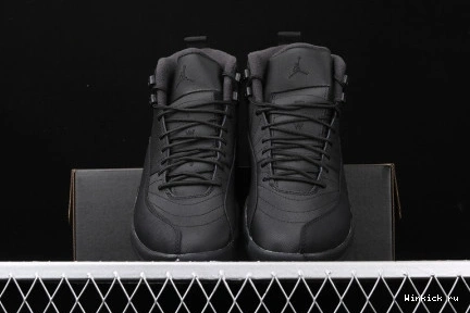 WINTERIZED ANTHRACITE JORDAN BLACK AIR 12 0803